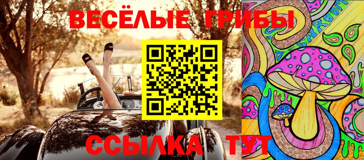 Боровичи  Галлюциногенные грибы Magic Shrooms  Вход с VPN 