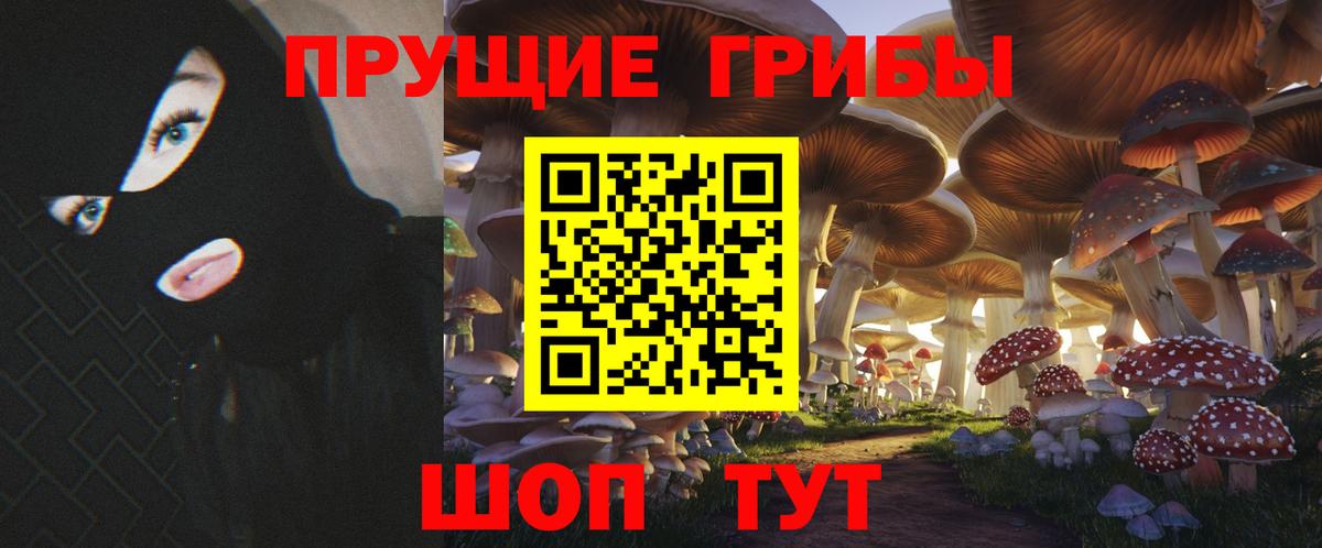 Псилоцибиновые грибы GOLDEN TEACHER Боровичи