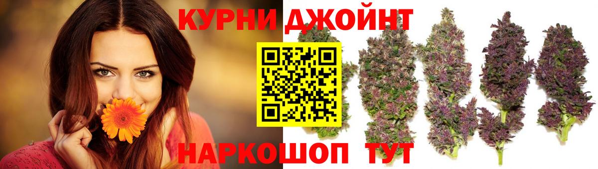Боровичи  Канабис план  Шишки марихуана сатива  Вход с VPN  Конопля SATIVA & INDICA 